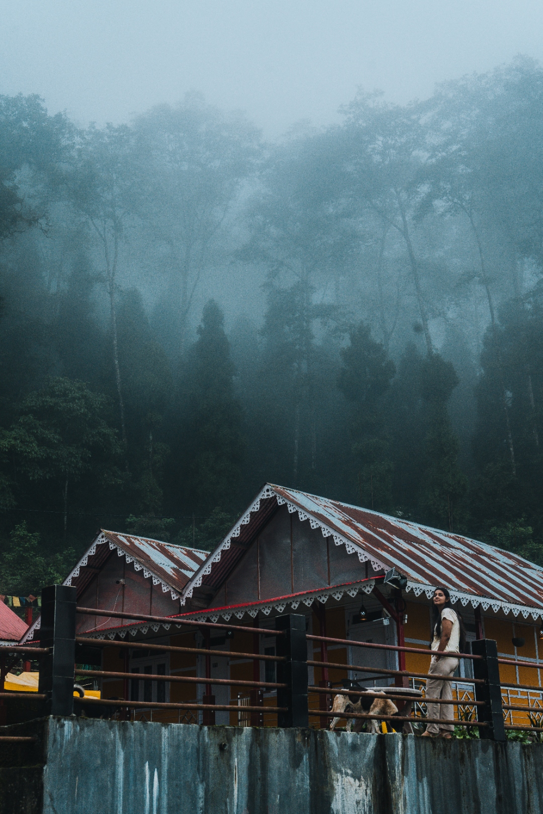 Homestay in Forest Fog
